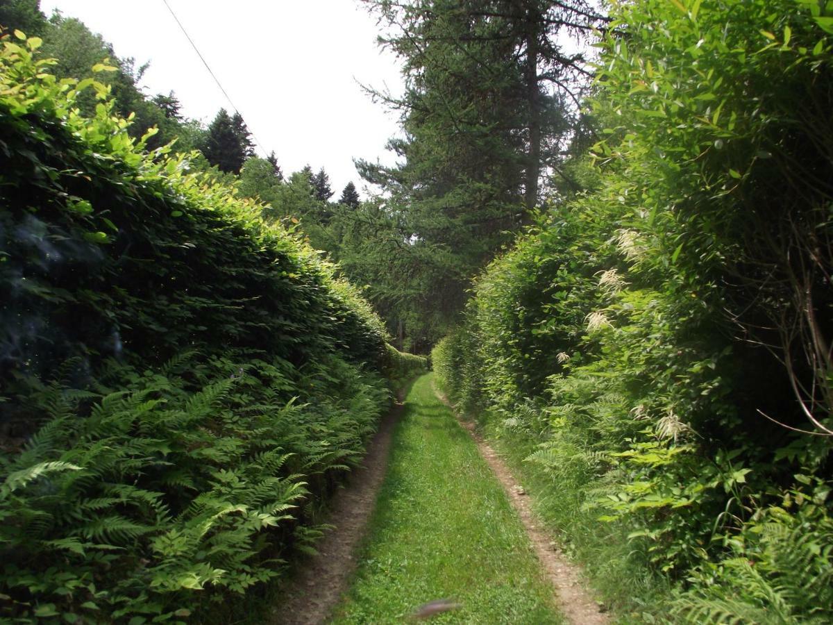 Idylla Villa Polom Maly Bagian luar foto